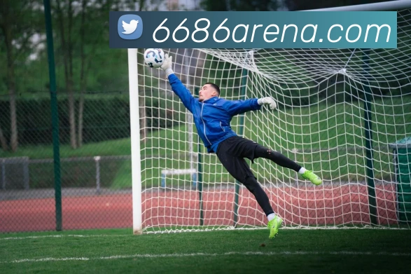 6686体育平台生态图